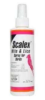 Benw Pet Miracle Care By Miraclecorp8 Ounce Scalex Mite Lice Spray For Birds Buy Online In Bosnia And Herzegovina At Bosnia Desertcart Com Productid 58321614