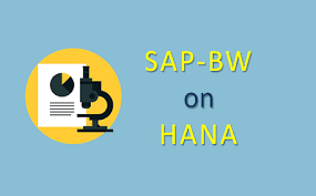 Sap Business Warehouse Bw Powered By Sap Hana Refers To Using Bw Software Suite On Top Of Hana Database This Functionality With Images Sap Data Modeling Success Factors