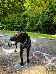 Check spelling or type a new query. West Branch State Park Ravenna Ohio Vegan Voyagers