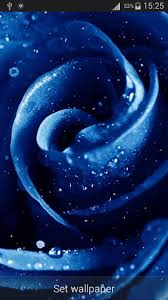 Blaue Rose Live Hintergrund Fur Android Apk Herunterladen Wir müssen uns vor usern schützen, die wie die verrückten wallpaper herunterladen, da wir unseren service für dich weiterhin kostenlos anbieten wollen.