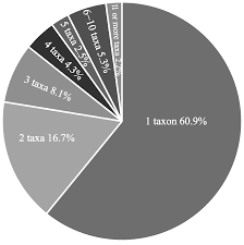Image result for Cyphostemma glandulosissimum
