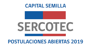 La iniciativa contempla aportes de hasta $3 el gerente general de sercotec, bruno trisotti, dio inicio a una serie de actividades en la región para. Capital Semilla 2019 Revisa Como Postular Al Fondo Para Emprendedores Bonos 2021 Chile