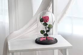 Amazon Com Beauty And The Beast Rose Medium Size Live Forever Rose Enchanted Rose Rose In Glass Dome Forever Rose Rose In Glass Preserved Rose Preserved Flower Vintage Pink Rose Handmade Products