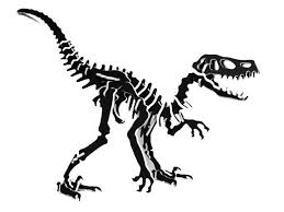 Shop dinosaurs dinosaurs & more. 32 Square Vel12bwb 0 5 In Giant 3d Dinosaur Puzzle Velociraptor 44 Black 44 White Black 40 Piece Buy Online In Indonesia At Desertcart Id Productid 114540319