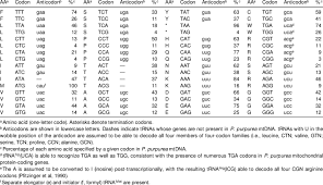 codon frequencies and trna recognition pattern in p