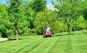 • the soil becomes easier to bulldoze and dig. Best Pull Behind Plug Aerator Behind Aerator Reviews Guide 2019 Diy Lawn Lawn Care Diy Aerator