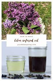 How To Make Lilac Oil Its Benefits And How To Use It Lilac Oils Lilac Essential Oil Natural Beauty Diy