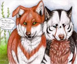 Might as well be watching a tree. Anime Wolf People Drawings Novocom Top