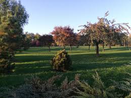 Great savings on hotels & accommodations in mogosoaia, romania. Parcul Dendrologic Si Padurea Chitila Costacheinjurullumii