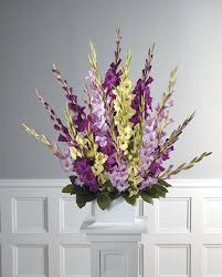 Image result for Gladiolus decoratus