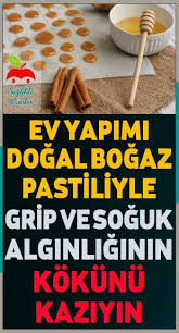 Ev Yapimi Dogal Pastil Ile Grip Ve Soguk Alginligindan Kurtulun Grip Saglik Dogal