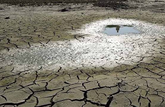 El Niño reducirá hasta 20% la producción de arroz en Panamá, advierte el Mida