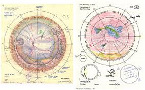 Retinal Drawing At Getdrawings Com Free For Personal Use