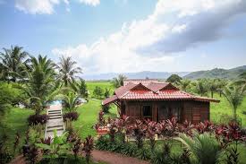Pemandangan sawah padi di kampung gambar viral hd via gambarviralhd.blogspot.com. 8 Resort Tepi Sawah Padi Di Langkawi Kedah Buat Saya Jatuh Cinta