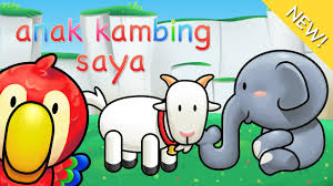 Calf, anak, lamb, goat, child, goats, cowshed, nail goat, five goat, goat meat. Lagu Anak Indonesia Anak Kambing Saya Youtube