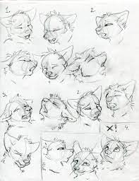 Howtodrawacutepuppyface Draw Draw Howtodrawacutepuppyface Drawings Pinterest Animal Drawings Furry Art