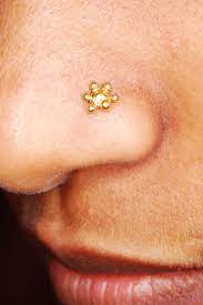 Nose Ring Body Jewelry Nose Nose Piercing Piercings