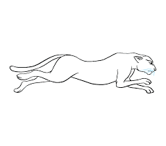 Check spelling or type a new query. How To Draw A Cheetah In A Few Easy Steps Easy Drawing Guides
