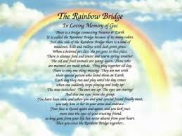 There is always food and water and warm spring weather. The Rainbow Bridge Memorial Poem Personalized Gift For Loss Of Beloved Pet Ebay