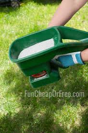 The best fertilizer for thick and healthy green grass. Pin On Gardening Landscaping