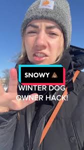 Snowy Dog Adventures in Chicago