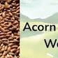 Acorn Processing Workshop with Alameda Native event image