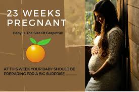 23 Weeks Pregnant Symptoms Body Changes Pregnancy Ultrasound Stages of pregnancy week by week. 23 weeks pregnant symptoms body