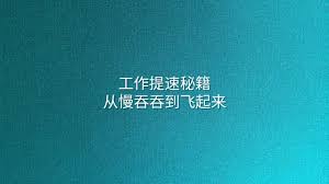工作提速秘籍：从慢吞吞到飞起来- 选英