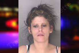Brandy Galloway — Douglas County Jail Bookings
