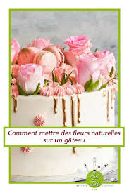 Fleurs Naturelles Sur Un Gateau Un Risque Ou Non Fleurs Naturelles Gateau Creme Au Beurre Fleurs