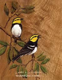 رسومات على الخشب طيور بالالوان wood carving art bird pictures pyrography