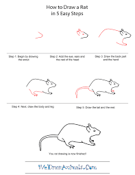 How To Draw A Rat