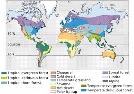 community and ecosystem dynamics