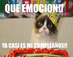 Check spelling or type a new query. Dopl3r Com Memes Que Emocion Ya Casi Es Mi Cumpleanos