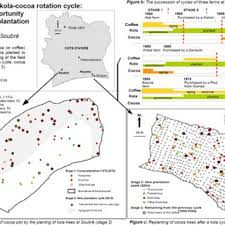 pdf is kola tree the enemy of cocoa a critical analysis of agroforestry recommendations made to ivorian cocoa farmers