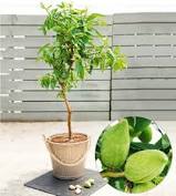 Check spelling or type a new query. 29 95