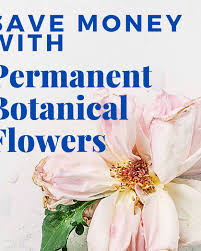 Maybe you would like to learn more about one of these? 5 Edible Alternatives To Sending Flowers Holidappy