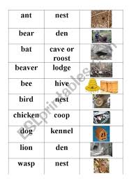 Male and female animals, their young, homes, groups, sounds and related adjectivesedit. Animal Homes Esl Worksheet By Jan Giorgio