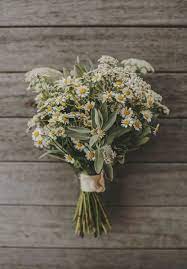 Pin By Manasviii On Flower Bouquets In 2021 Herb Bouquet Wedding Flowers Wildflowers Flowers Bouquet