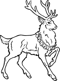 Free cartoon moose coloring pages printable for kids. Cartoon Reindeer Pictures Coloring Home