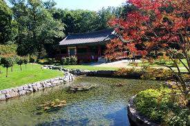 Im zuge der gastland vorstellung auf der buchmesse im jahre 2005 wurde der koreanische garten geboren. Der Koreanische Garten Lebt Wieder Frankfurt Green City Facebook