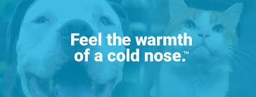 The baltimore animal rescue and care shelter. Maryland Spca Home Facebook