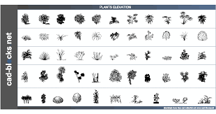 We did not find results for: Vegetation Cad Blocks Plants In Elevation View