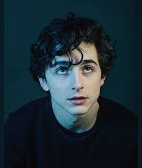 Timothee Chalamet Is It Just Me Or Is He Like A New Obsession Timothee Chalamet Pretty People Boys