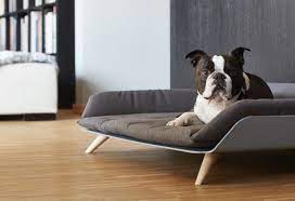 Le canapé pour chien peut remplacer le panier pour chien. Canape Lit Luxe Pour Chien Letto Dog Couch Dog Bed Modern Modern Dog