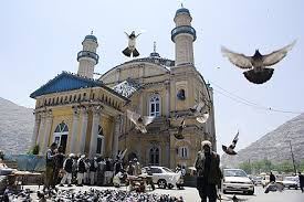 Ha speciális igényei merülnek fel, érdemes a megjegyzés rovatban feltüntetni. Kabul Gaz Wiki