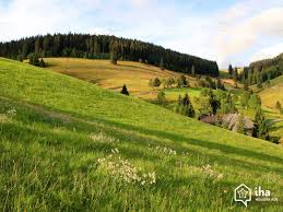 29,819 likes · 9,625 talking about this. Vermietung Baden Wurttemberg Fur Ihren Urlaub Mit Iha Privat