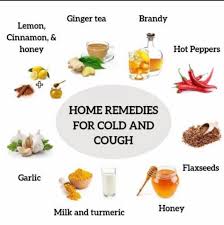 Home Remedies For Common Cold Cough Treat Your Cold At Home Cold Home Remedies Health Food Spicy Ingredients
