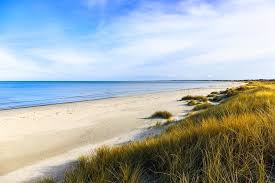 Windfinder specializes in wind, waves, tides and weather reports & forecasts for wind related sports like kitesurfing, windsurfing, surfing, sailing or paragliding. Ab In Den Danemark Strandurlaub Die Top 8 Danemark Hotels Am Meer