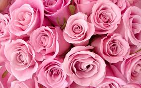 Hd wallpapers and background images. Pink Backgrounds For Computer Wallpaper Cave